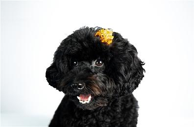 《CS：GO》Steam在线峰值超180万